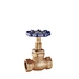 Brass Globe Valve (Blue Petal Handwheel, Segmented Stem, 1/2 Mark)